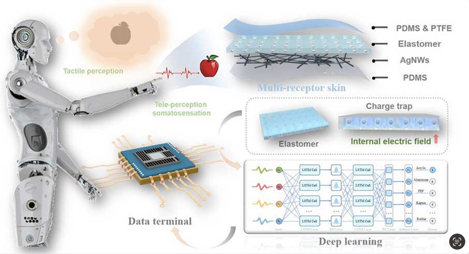 中国研究人员受鸭嘴兽启发研发多受体皮肤 可改进机器人感知能力